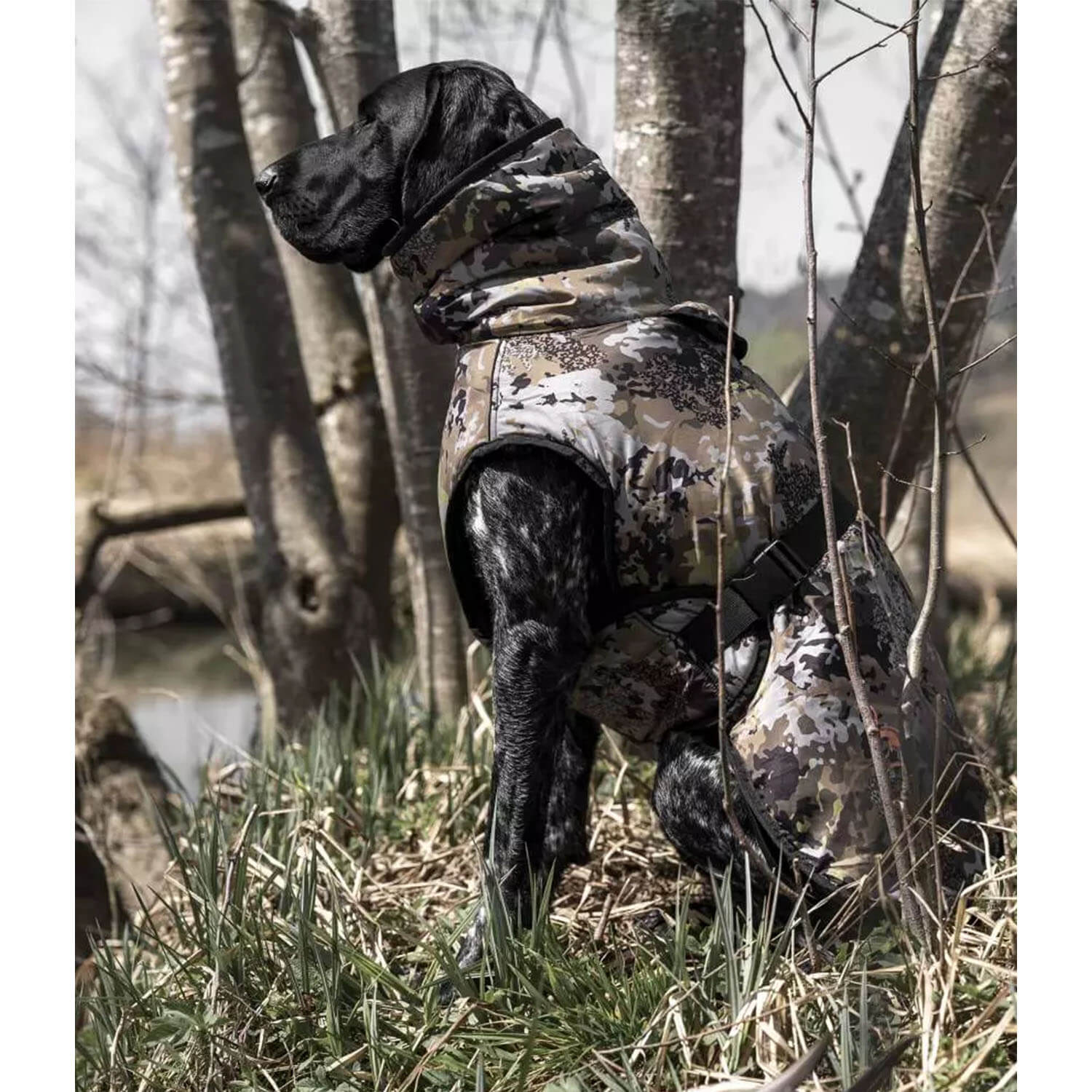  Blaser Hondenponcho (HunTec)