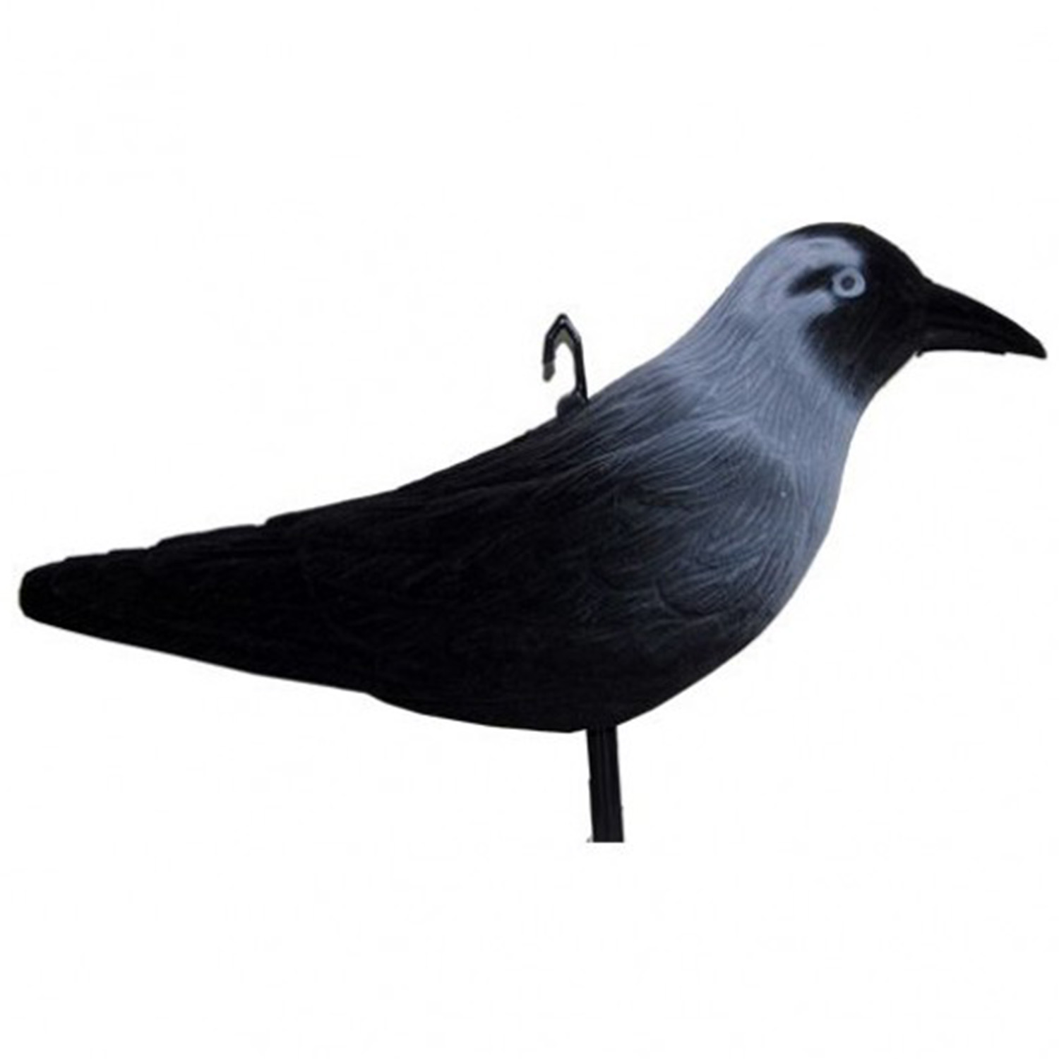 Gevlekte kauw 32cm