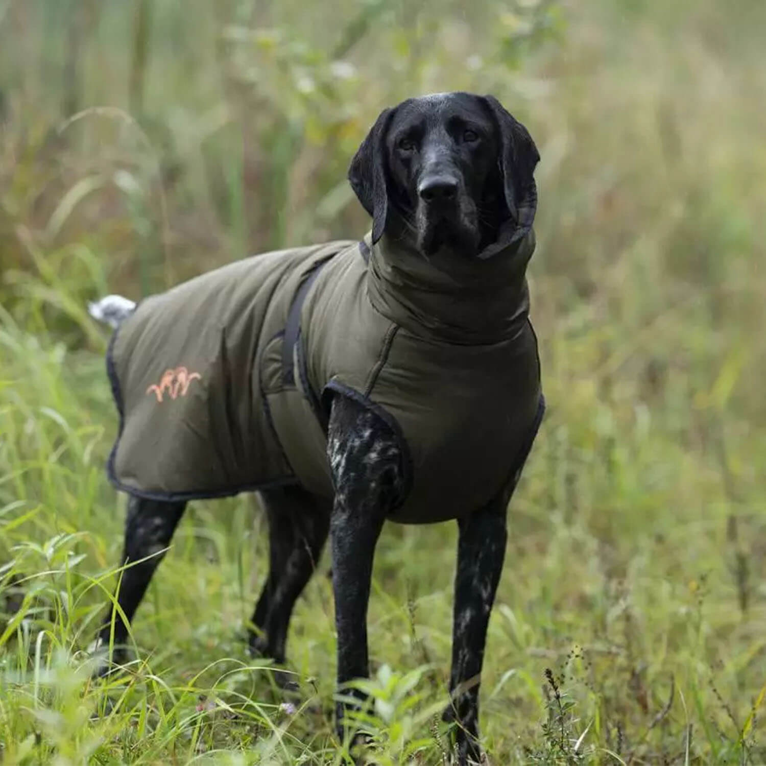  Blaser Hondenponcho (groen)