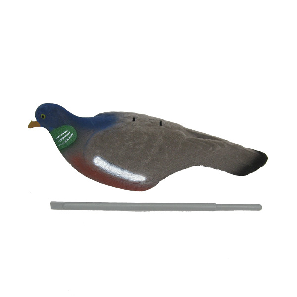 Duif halve schelp -  Lokjacht