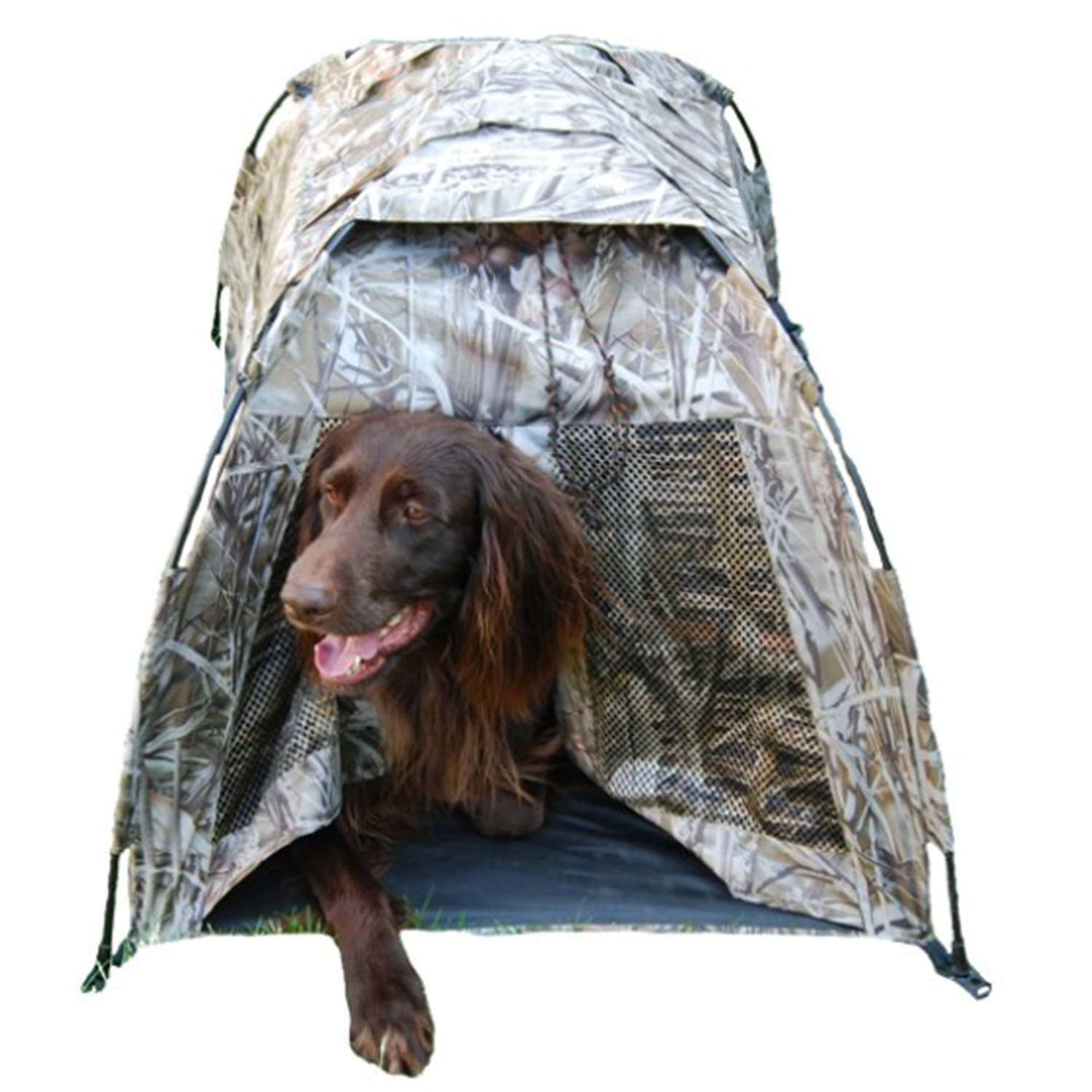 Hond camouflage tent Pop Up - Ganzenjacht